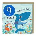 Card 9 Today Shark